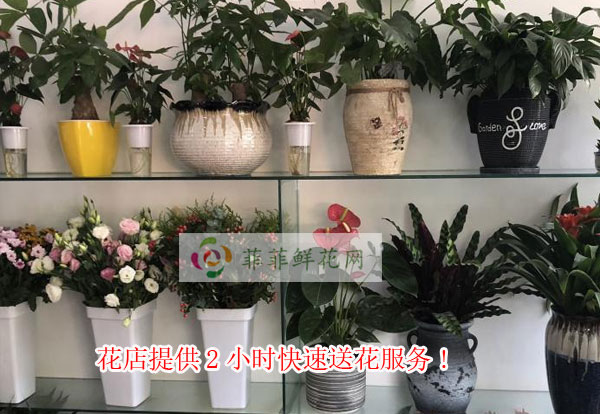 吉安青原区花店提供吉安青原区2小时快速送花服务