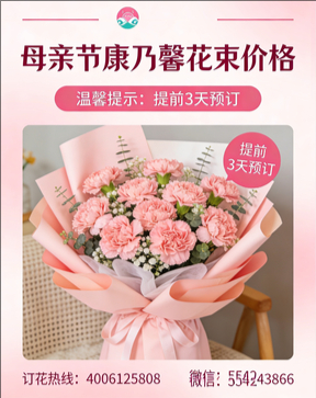 吉安青原区花店母亲节康乃馨花束