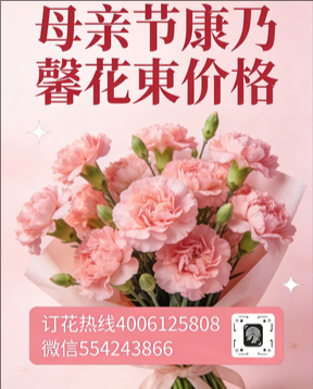 吉安青原区花店母亲节康乃馨花束